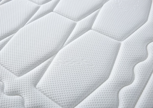 Theo 1500 - Image 4
