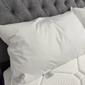 Goose Down Feathers Pillow (2 Pack)